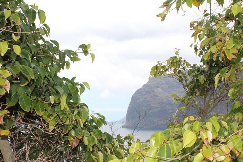 Seaview Apartment Acantilado de los Gigantes Ngoại thất bức ảnh
